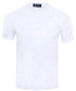 100% Natural Cotton Plain T-shirts TEE SHIRTS Robert Old White 58EU