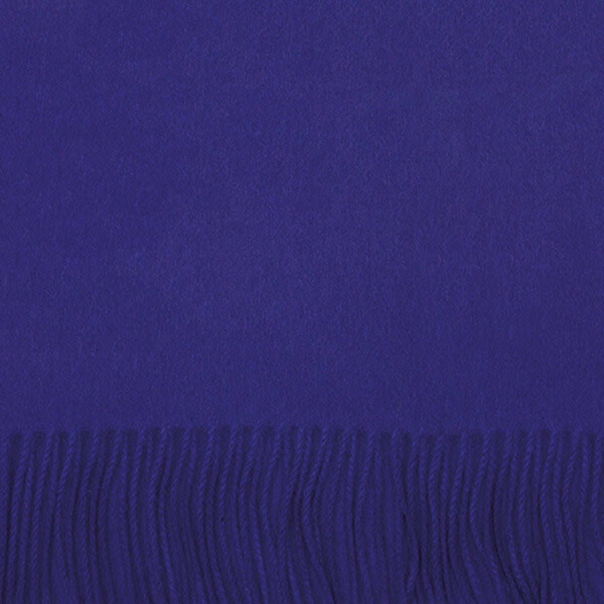 Purple Pure Cashmere Scarf  Robert Old   