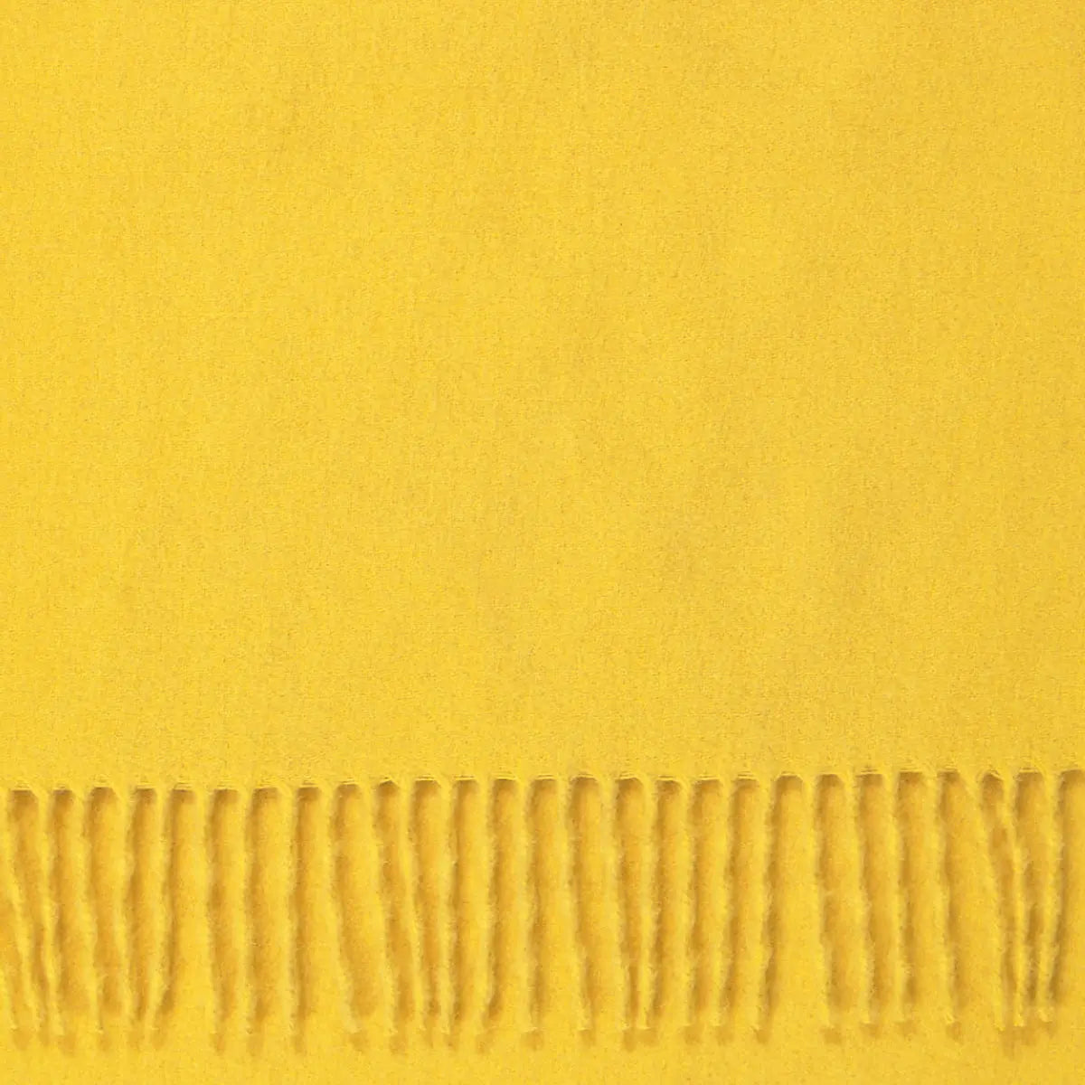 Yellow Classic Cashmere Scarf  Robert Old   